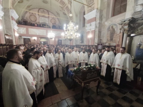 IMG_20221204_183557_resize