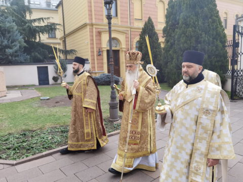 IMG_20221219_085557_resize