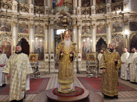 IMG_20221219_085927_resize