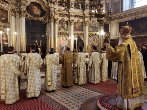 IMG_20221219_090034_resize