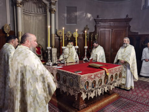 IMG_20221219_091252_resize