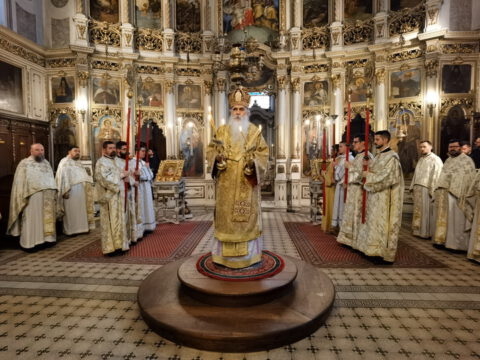 IMG_20221219_092029_resize