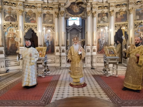 IMG_20221219_092321_resize