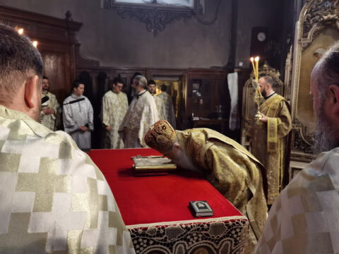 IMG_20221219_092509_resize