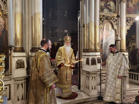 IMG_20221219_092855_resize