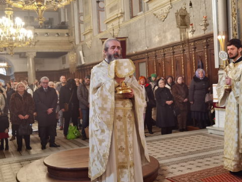 IMG_20221219_102148_resize