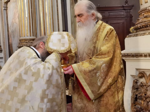 IMG_20221219_102202_resize