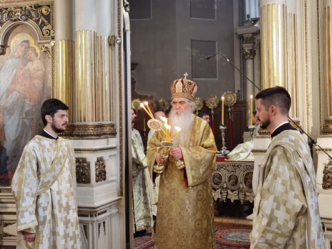 IMG_20221219_102447_resize