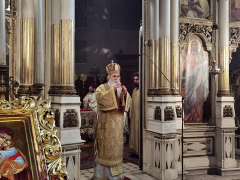 IMG_20221219_102749_resize