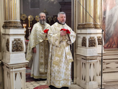 IMG_20221219_110633_resize