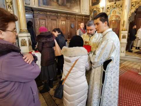 IMG_20221219_110739_resize