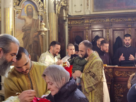 IMG_20221219_110826_resize