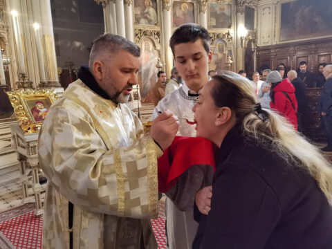 IMG_20221219_111018_resize