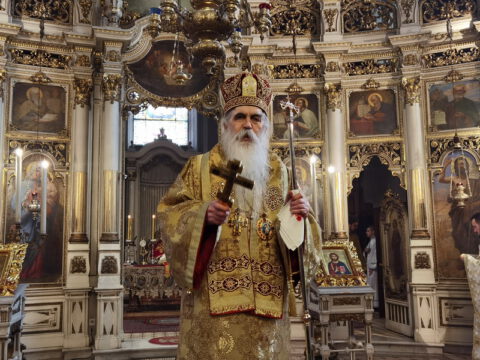 IMG_20221219_112125_resize