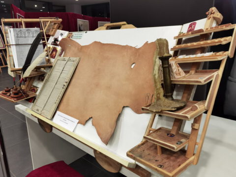 IMG_20221221_185023_resize