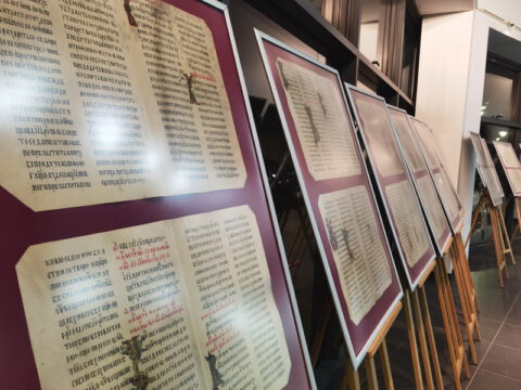 IMG_20221221_185123_resize