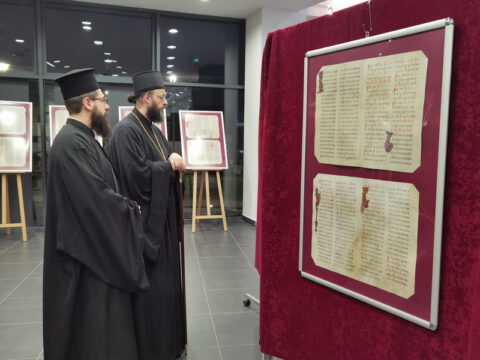 IMG_20221221_190321_resize