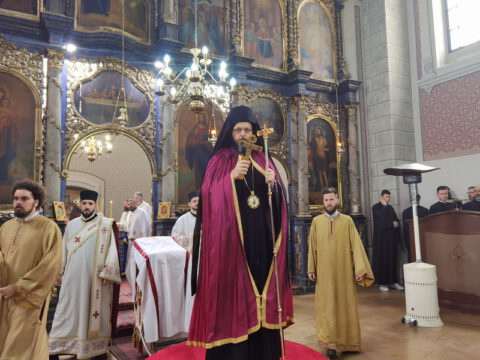 IMG_20221225_085352_resize