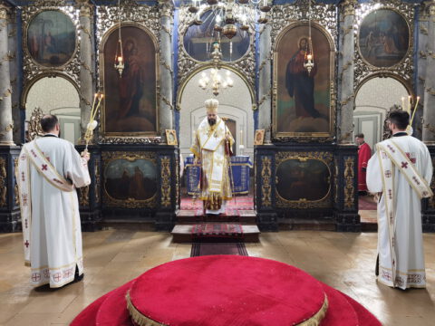 IMG_20221225_091557_resize