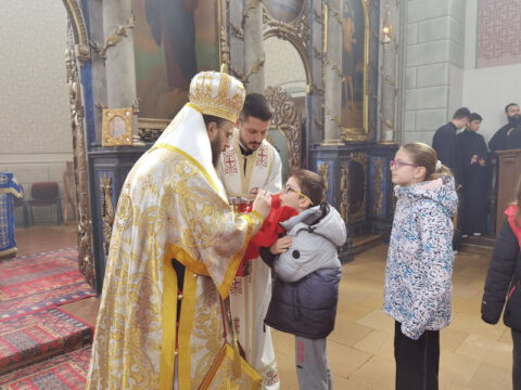 IMG_20221225_104158_resize