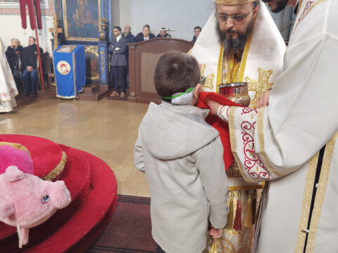 IMG_20221225_104311_resize