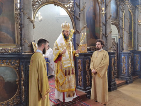 IMG_20221225_105444_resize