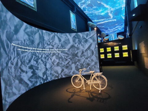 IMG_3191_resize_resize