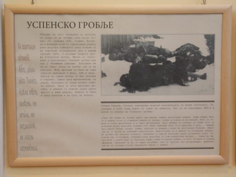 IMG_7762_resize_resize