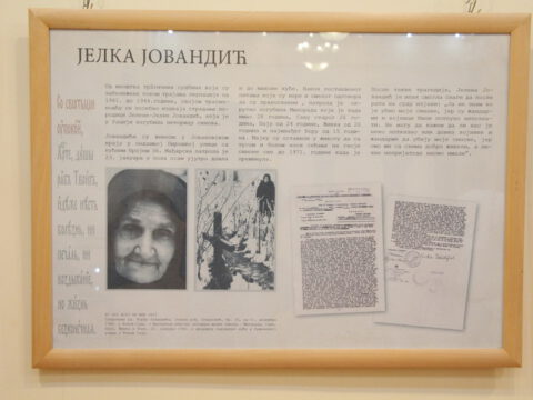 IMG_7764_resize_resize