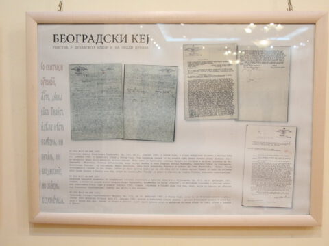 IMG_7765_resize_resize