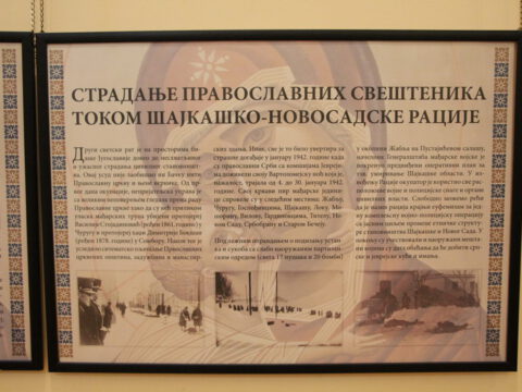 IMG_7777_resize_resize