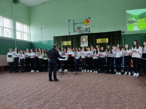 1674842372888_resize_resize