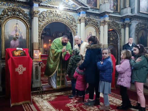 1674852365875_resize_resize