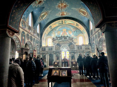 20230127_094520_resize_resize