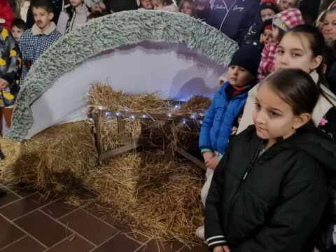 IMG-28a92299849783b641f8cc1aac917846-V_resize