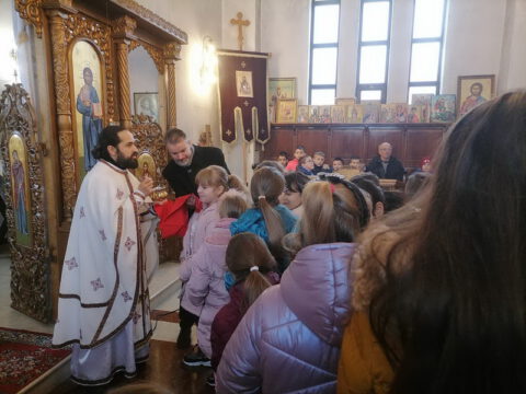 IMG-29c60df2cdec663e833390166fcf86cf-V_resize