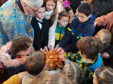 IMG-75124aaed45fe6a23344d31408ff116a-V_resize