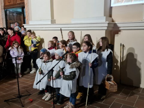 IMG-ae2ab58fbcf6b595a66751c83db7c60b-V_resize