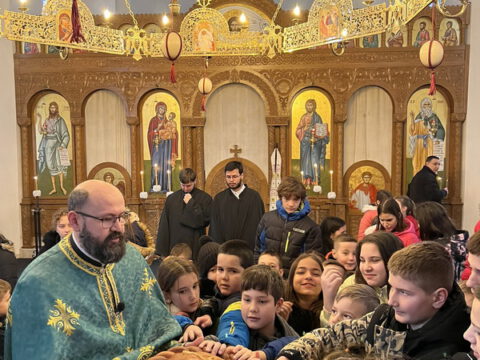 IMG-c8dfe497e46eb11f3378cbb9e40686de-V_resize