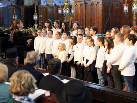 IMG_0138_resize_resize