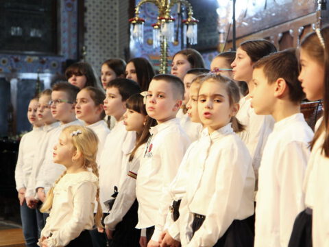 IMG_0142_resize_resize