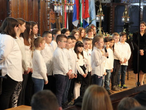 IMG_0154_resize_resize