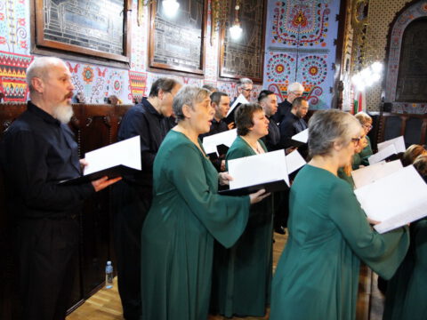 IMG_0173_resize_resize