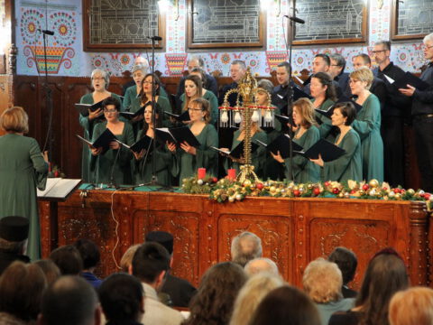 IMG_0185_resize_resize