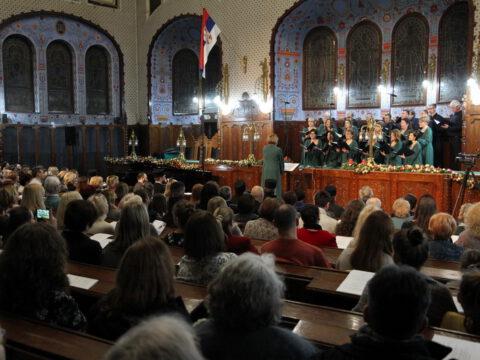 IMG_0186_resize_resize