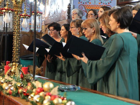 IMG_0190_resize_resize