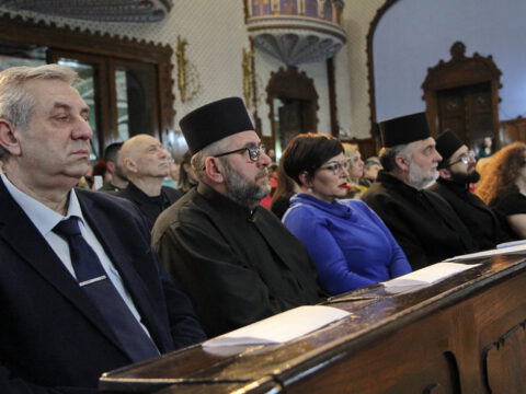 IMG_0194_resize_resize