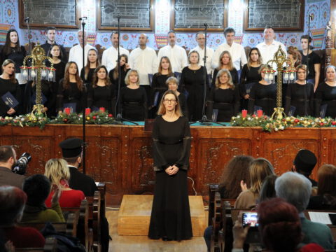 IMG_0206_resize_resize