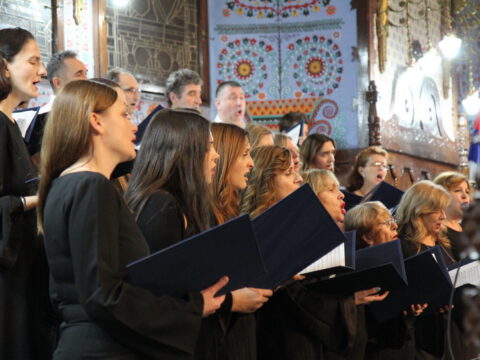 IMG_0222_resize_resize