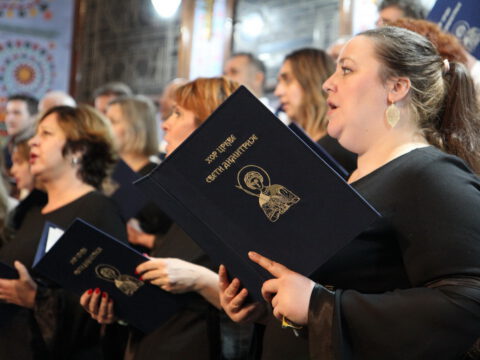 IMG_0229_resize_resize